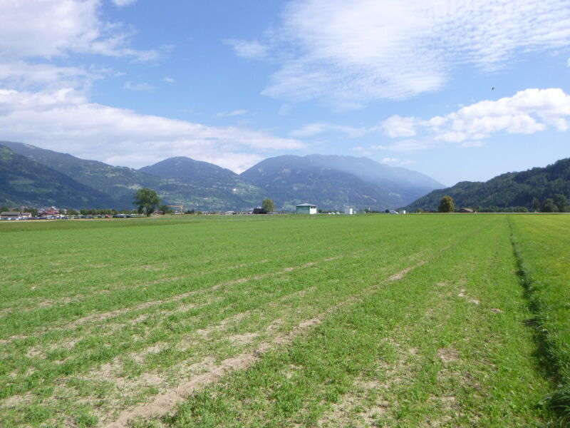 Landwirtschaft in Lienz - Bild 3