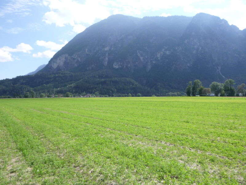 Landwirtschaft in Lienz - Bild 5
