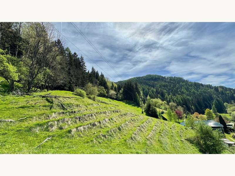 Landwirtschaftsgrund in Hüttenberg - Bild 5