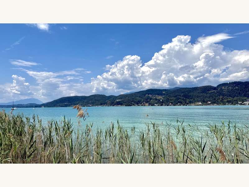 Eigentumswohnung in Maria Wörth / Dellach - Bild 7