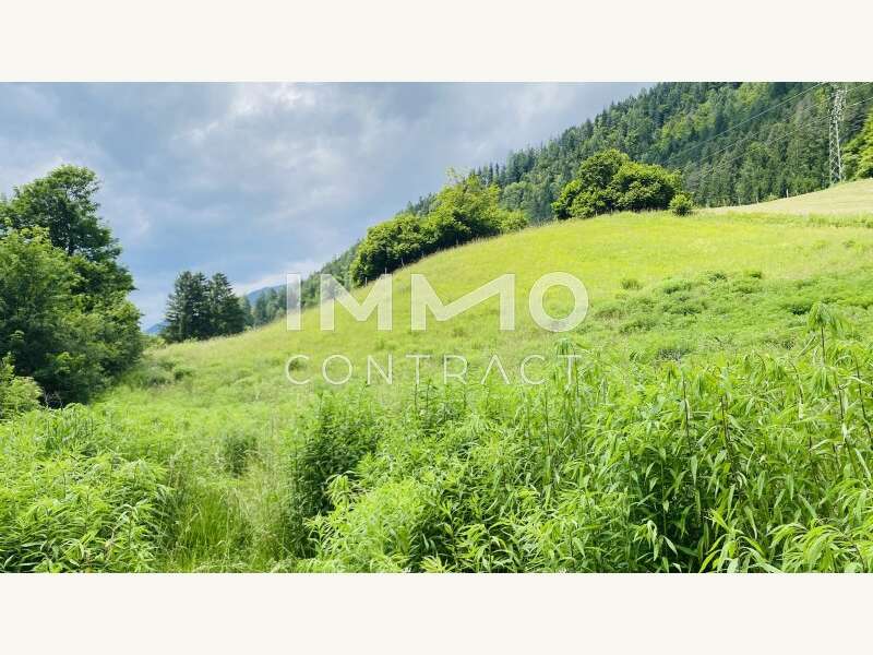 Grundstücke mit Altbestand