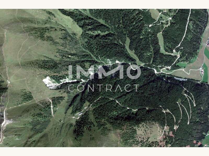 Satellitenaufnahme Waldparzelle