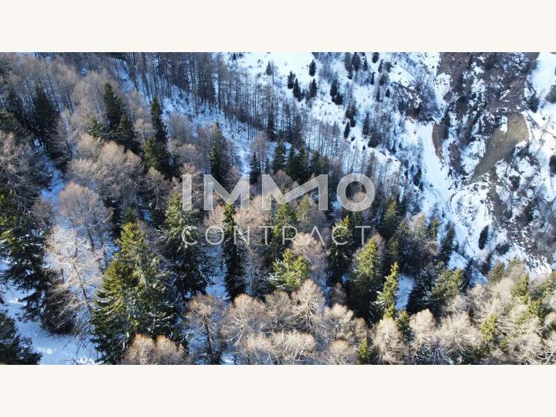 Waldparzellen Kals am Großglockner