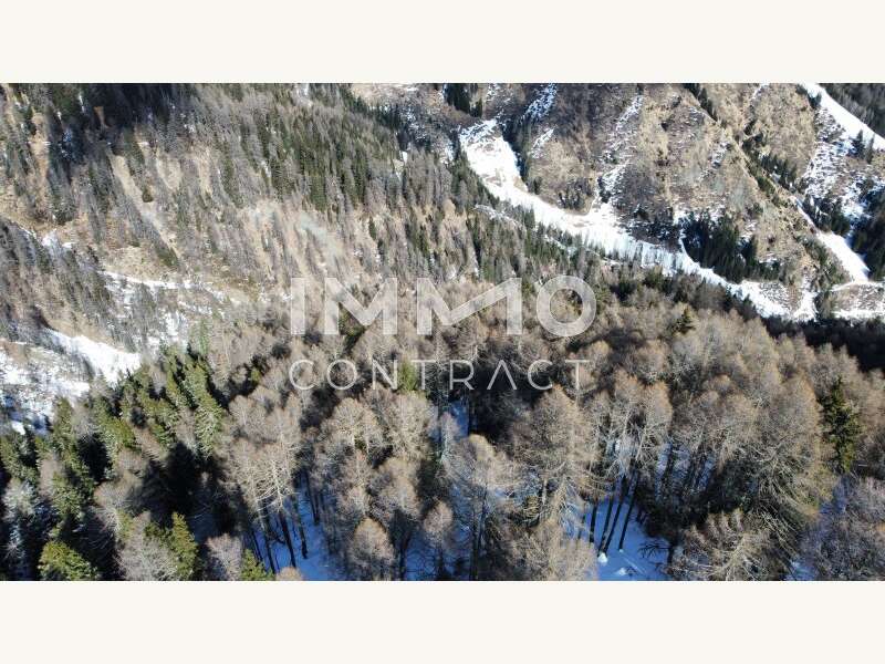 Waldparzellen Kals am Großglockner