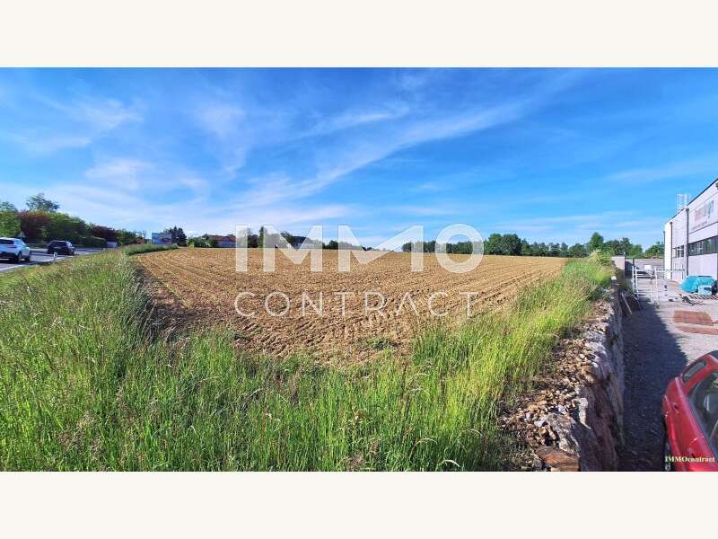 Halle in Bergland - Bild 3