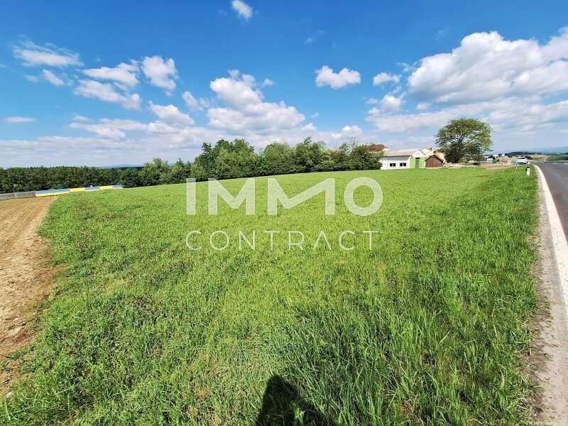 Halle in Zeillern - Bild 2 Halle in Zeillern - Bild 2