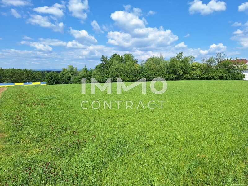 Halle in Zeillern - Bild 4 Halle in Zeillern - Bild 4