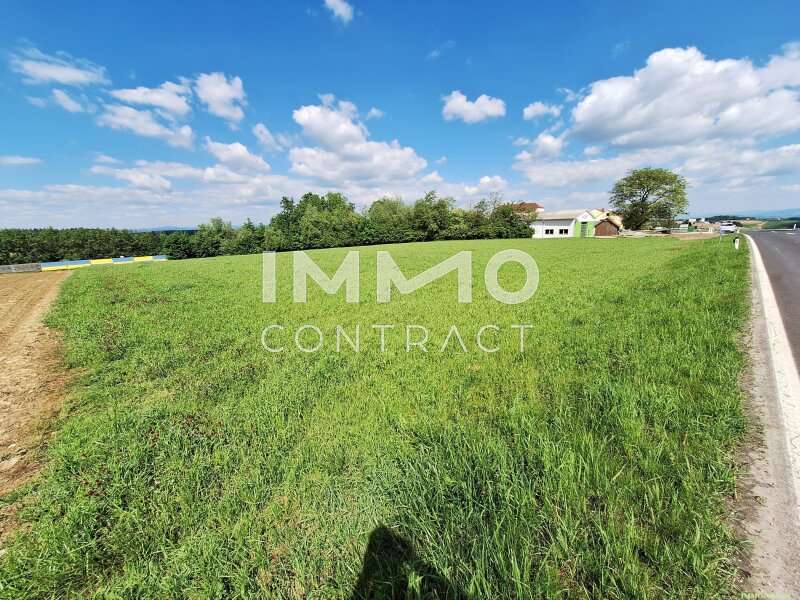 Halle in Zeillern - Bild 7 Halle in Zeillern - Bild 7