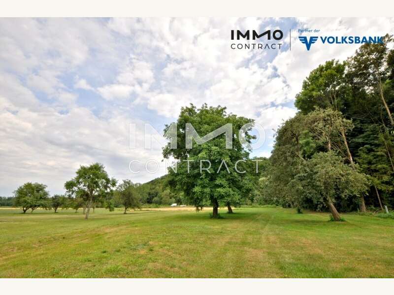 Grundstück im hinteren Teil