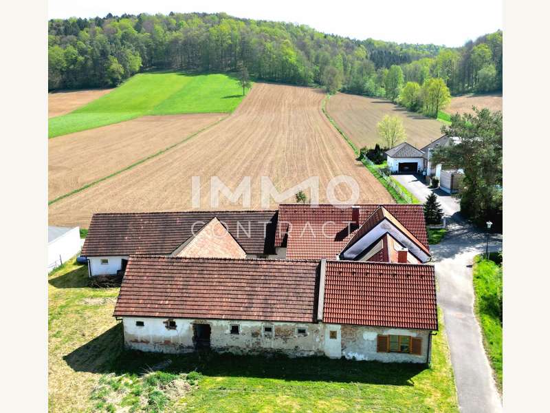 Landwirtschaft in Fehring / Petersdorf I - Bild 3