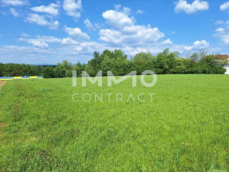 Halle in Zeillern - Bild 4