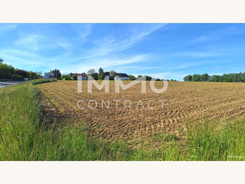 Halle in Bergland - Wieselburg - Bild 2