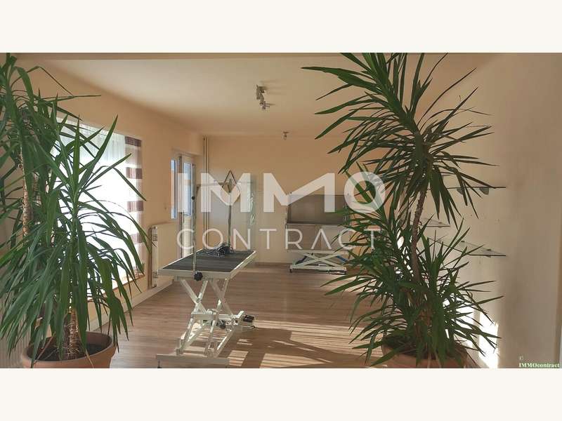 Renditeobjekt in Pöchlarn - Bild 4