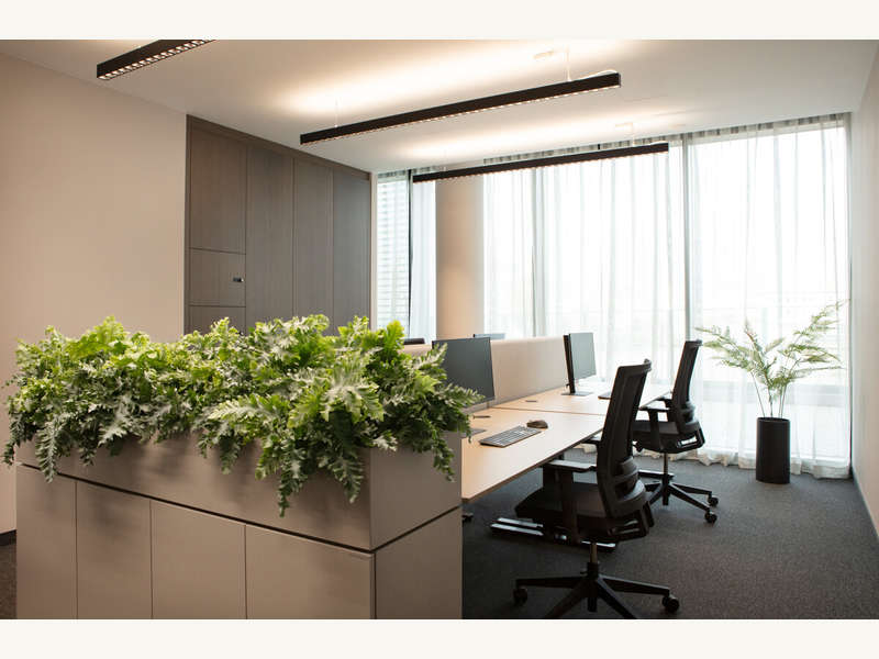 Büro Wien: Büro 1 Büro 1