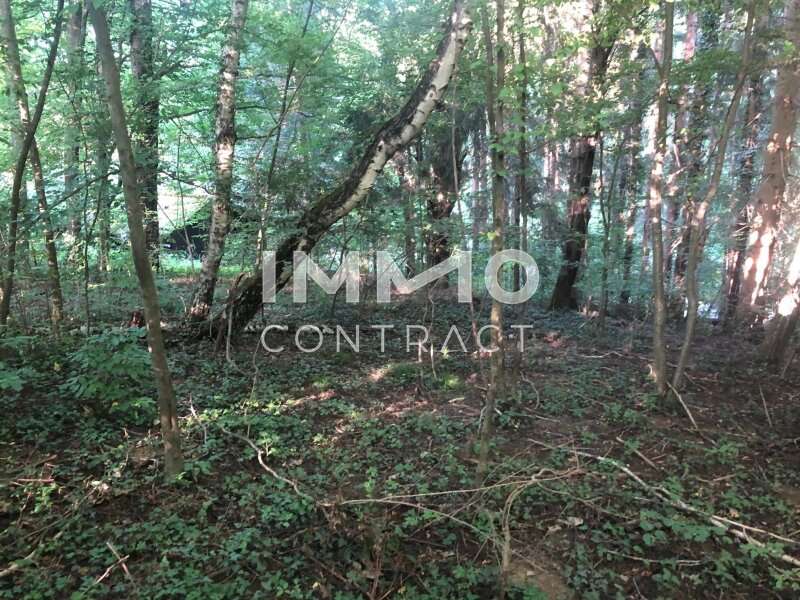 Baugrundstück in Pressbaum - Bild 2 Baugrundstück in Pressbaum - Bild 2