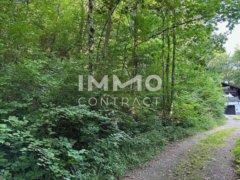 Baugrundstück in Pressbaum - Bild 5 Baugrundstück in Pressbaum - Bild 5