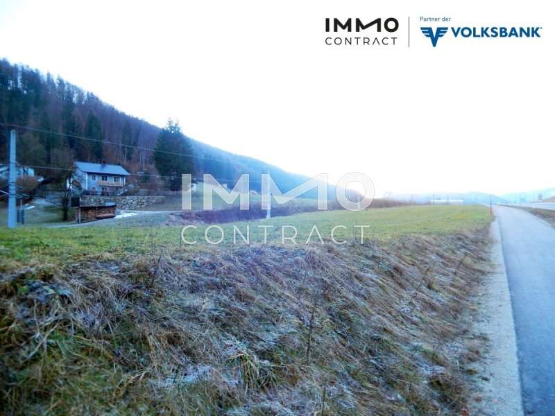 Gewerbebaugrund in Gaflenz - Bild 13