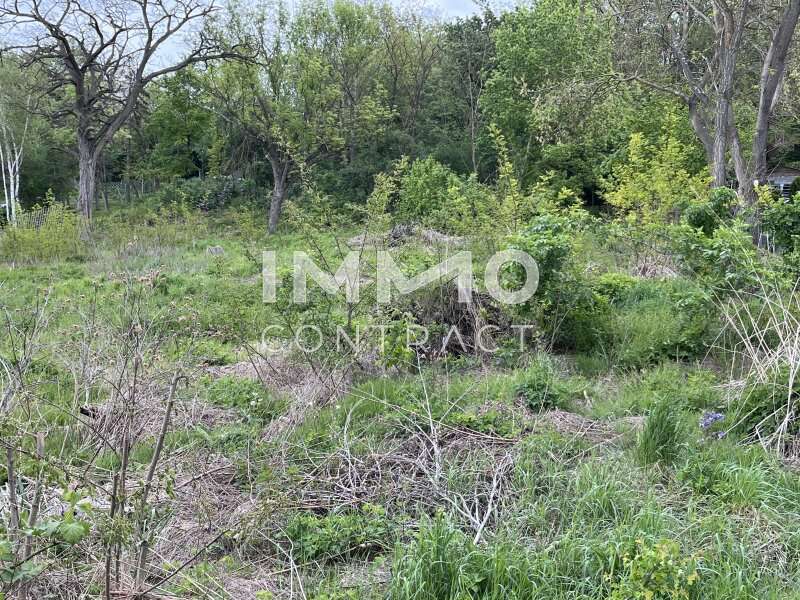 Baugrundstück in Enzersdorf bei Staatz - Bild 3 Baugrundstück in Enzersdorf bei Staatz - Bild 3