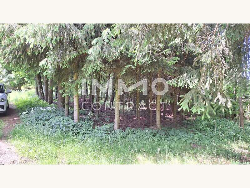 Landwirtschaftsgrund in Bad Traunstein - Bild 15