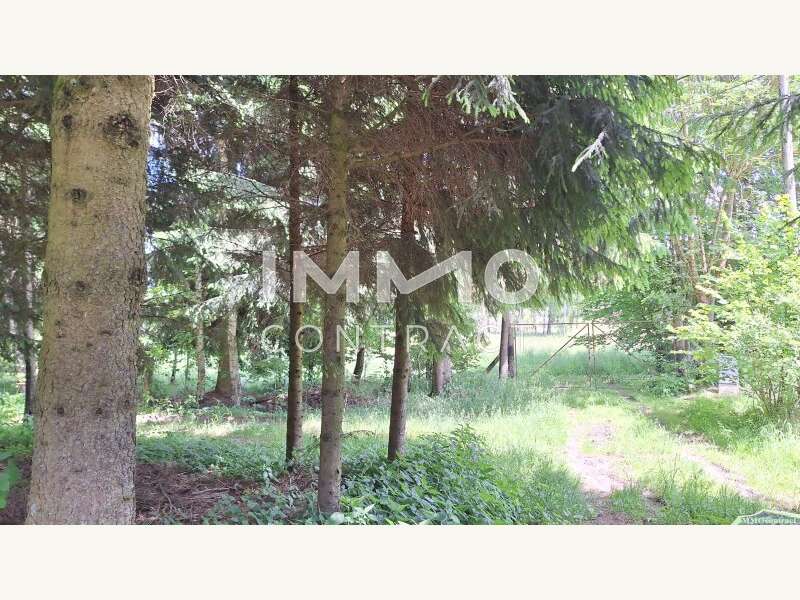 Landwirtschaftsgrund in Bad Traunstein - Bild 8 Landwirtschaftsgrund in Bad Traunstein - Bild 8