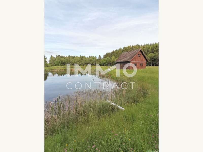 Landwirtschaftsgrund in Bad Traunstein - Bild 11 Landwirtschaftsgrund in Bad Traunstein - Bild 11