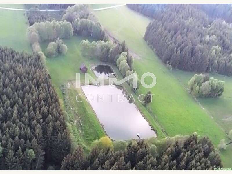 Landwirtschaftsgrund in Bad Traunstein - Bild 13 Landwirtschaftsgrund in Bad Traunstein - Bild 13