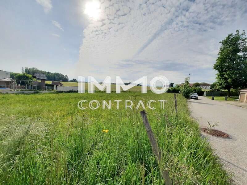 Baugrundstück in Bad Hall - Bild 2