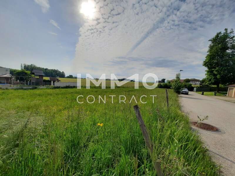 Baugrundstück Bad Hall: 20250515_090247 20250515_090247