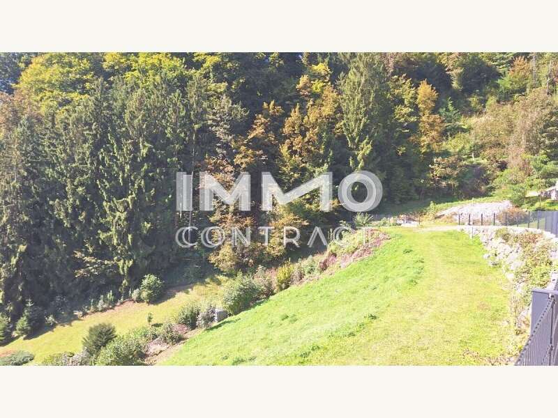 Baugrundstück in St. Nikola an der Donau - Bild 3