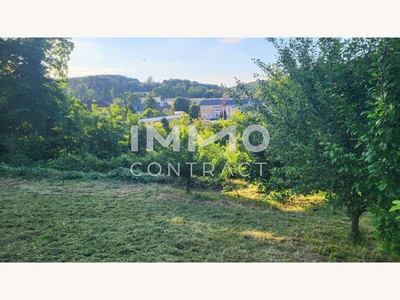 Baugrundstück Pressbaum: Ausblick Ausblick