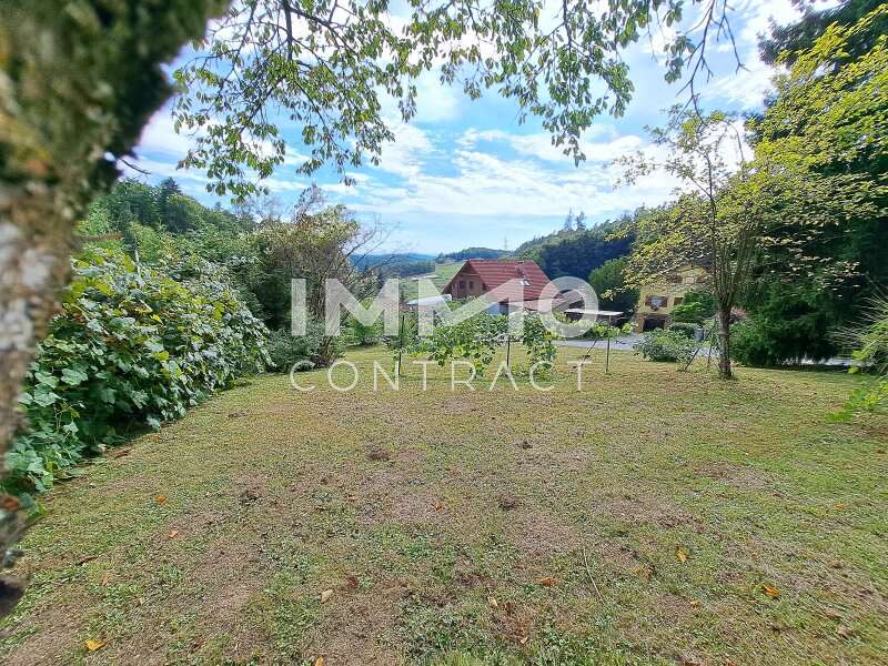 Baugrundstück Vasoldsberg: 20250908_144804 20250908_144804