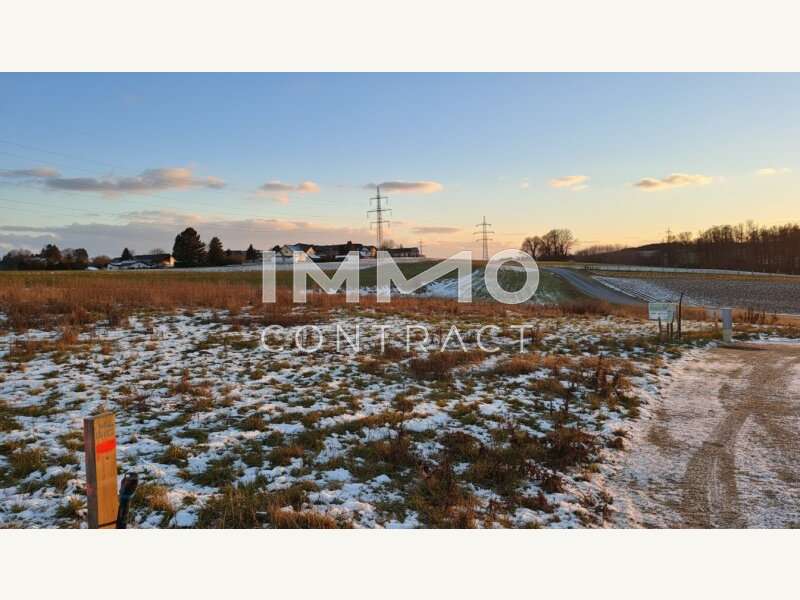 Baugrundstück in Wieselburg - Bild 3