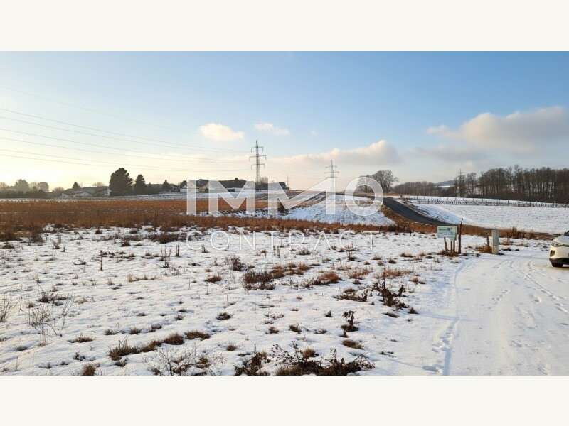 Baugrundstück in Wieselburg - Bild 6