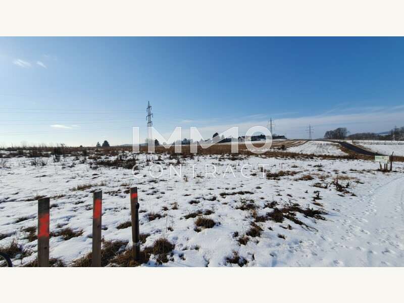 Baugrundstück in Wieselburg - Bild 8