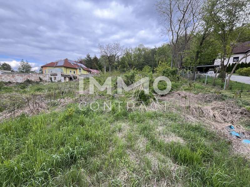 Baugrundstück in Enzersdorf bei Staatz - Bild 5