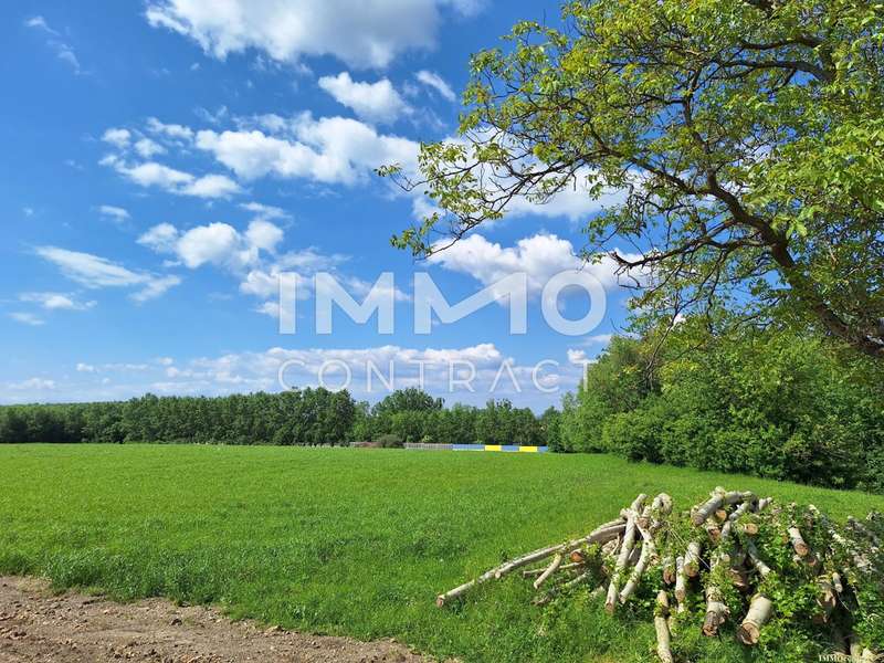 Gewerbebaugrund in Zeillern - Bild 3