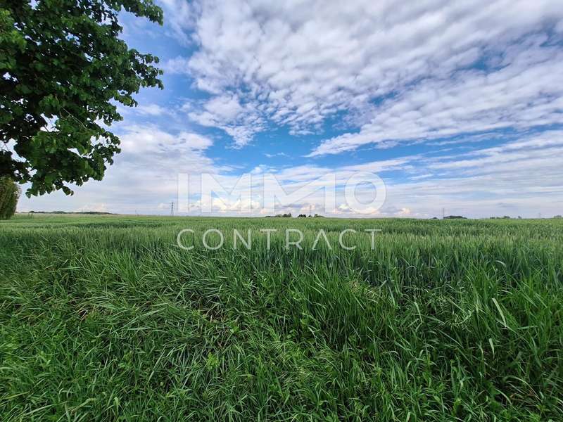 Baugrundstück Wien: 20250521_171540 20250521_171540