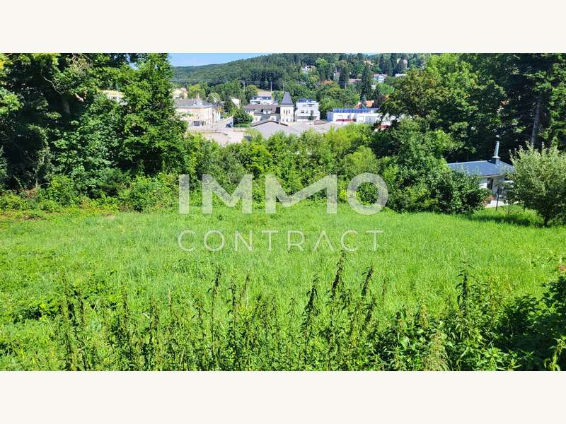 Baugrundstück Preßbaum: Grundstück Grundstück