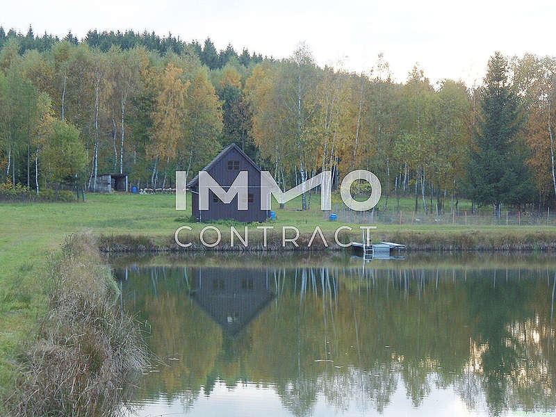 Landwirtschaftsgrund in Bad Traunstein - Bild 4