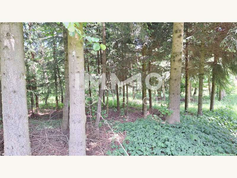 Landwirtschaftsgrund in Bad Traunstein - Bild 9