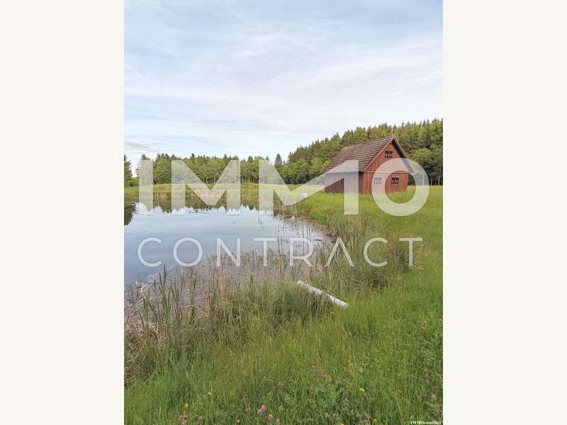 Landwirtschaftsgrund in Bad Traunstein - Bild 11