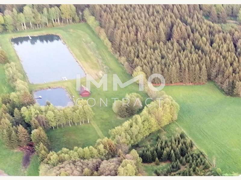 Landwirtschaftsgrund in Bad Traunstein - Bild 5