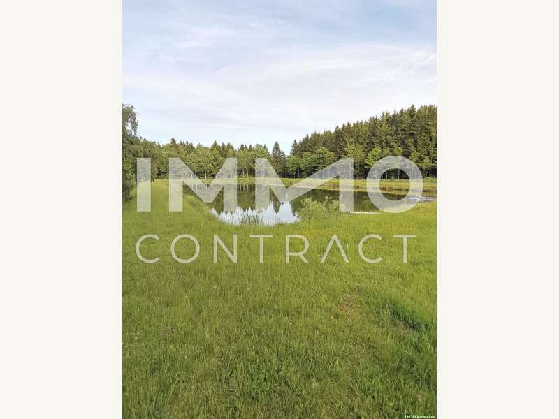 Landwirtschaftsgrund in Bad Traunstein - Bild 10