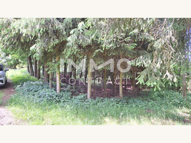 Landwirtschaftsgrund in Bad Traunstein - Bild 15