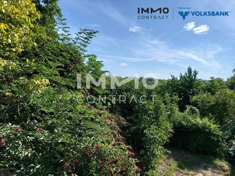 Landhaus Krems an der Donau: 20220810_092408 20220810_092408