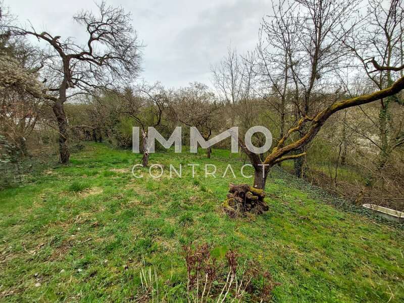 Landhaus Krems an der Donau: 20230331_114732 20230331_114732