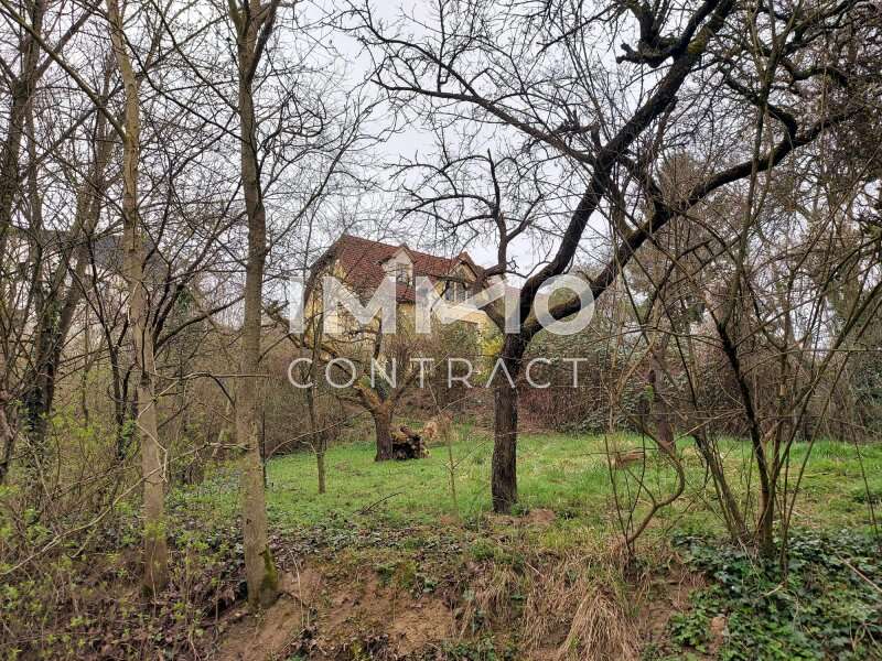 Landhaus Krems an der Donau: 20230331_114622 20230331_114622