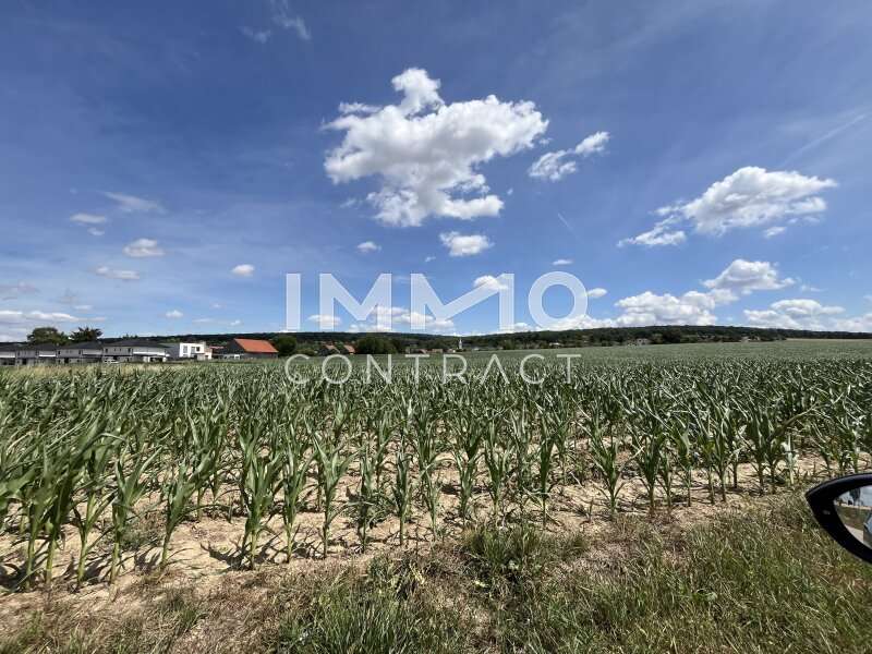 Doppelhaushälfte in Lerchenau - Bild 13