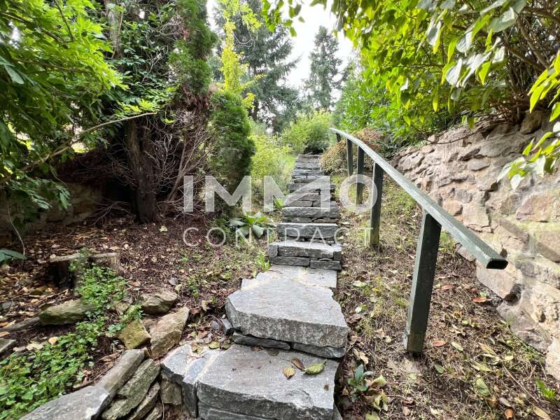 Landhaus in Krems an der Donau - Bild 18 Landhaus in Krems an der Donau - Bild 18