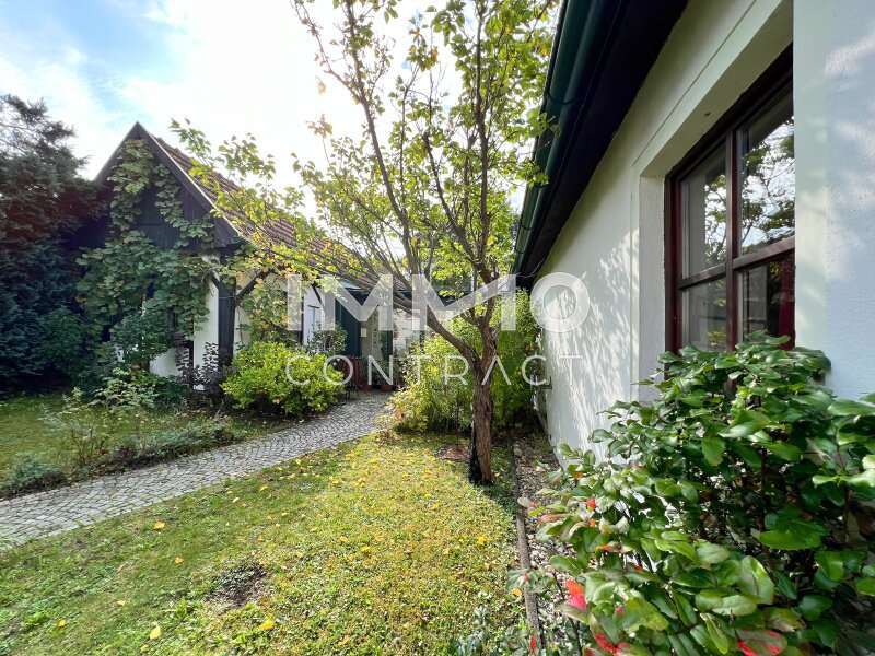 Landhaus in Krems an der Donau - Bild 22 Landhaus in Krems an der Donau - Bild 22